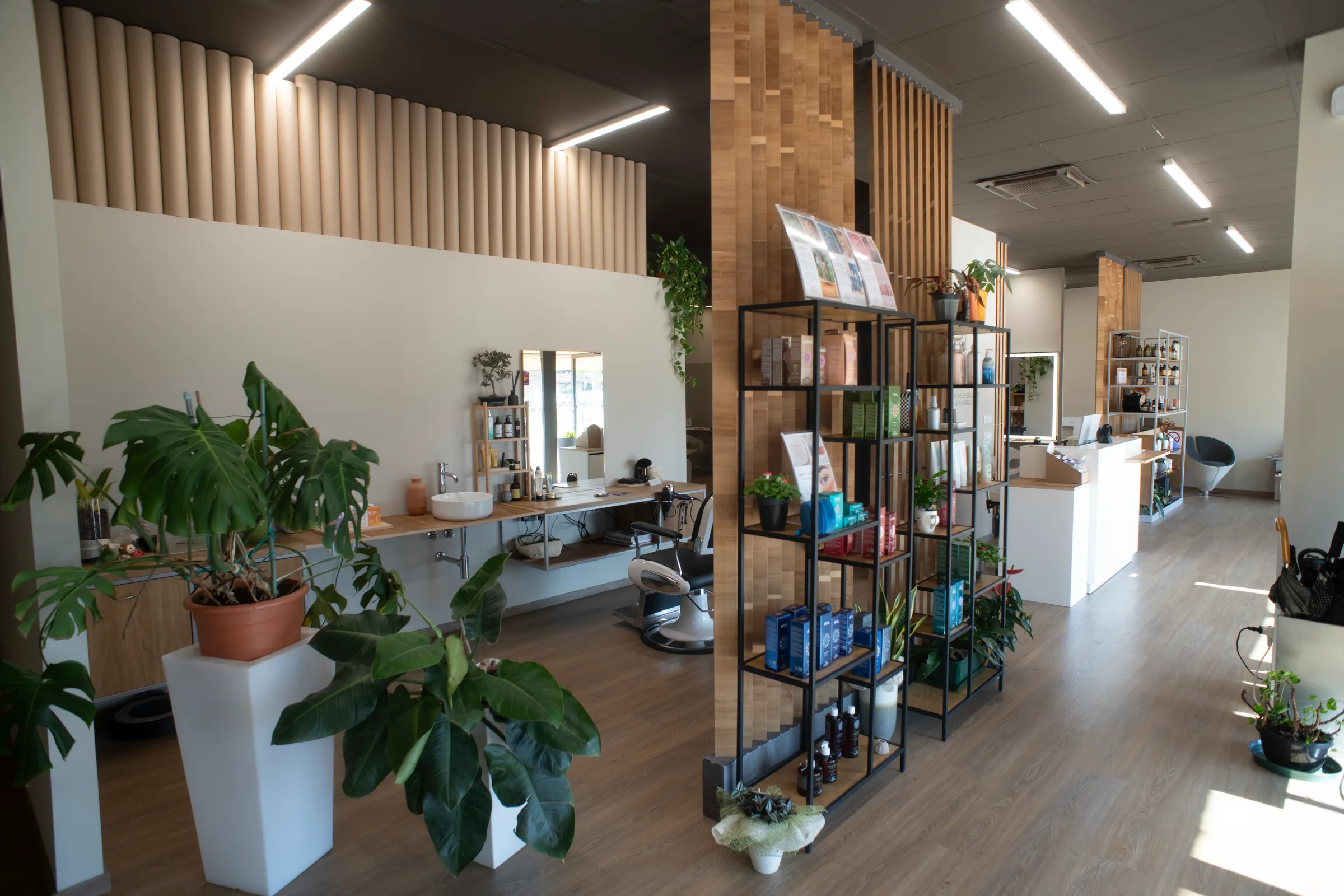Il salone con grandi piante, scaffali in legno e luce naturale